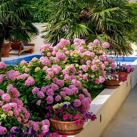 Bed & Breakfast Palace Schoen Milesi 4*